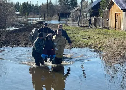 В Козульском районе Красноярского края полицейские помогли эвакуировать женщину из подтопленного дома