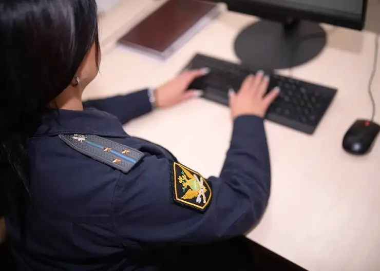 База данных злостных неплательщиков алиментов появилась на Госуслугах