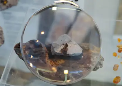 Коллекция Кузбасского музея пополнилась древнейшим в стране янтарем