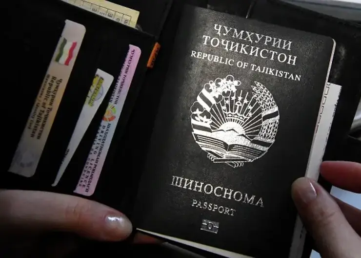 Мигрантам с патентами запретят работать в доставке и общепите Красноярского края