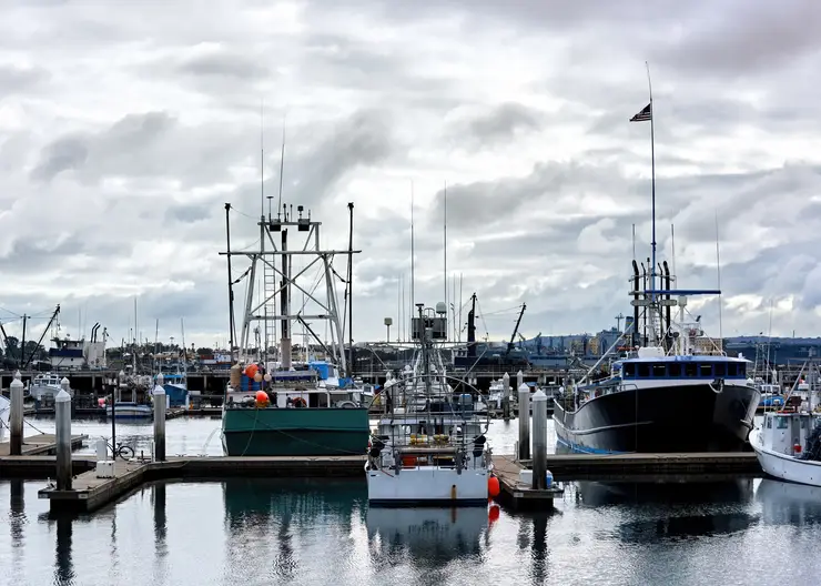 Морской совет при губернаторе создан в Красноярском крае
