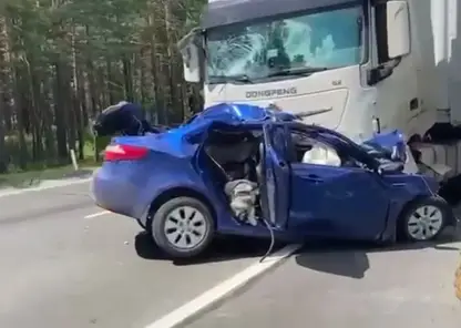 Трое погибли в лобовом столкновении легковушки с грузовиками на трассе «Сибирь»