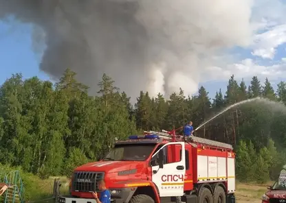 Лесной пожар площадью 1200 га вновь разгорелся в Егорьевском районе Алтайского края