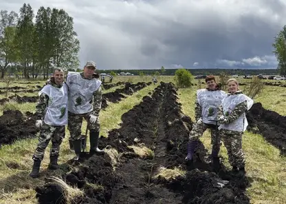 В крае высадили больше 35 тысяч деревьев в память о погибших в Великой Отечественной войне