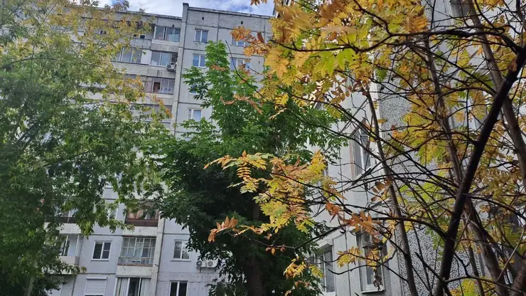 14 октября красноярцев ждет похолодание до -8