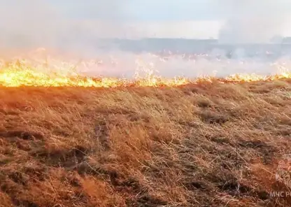 В Омской области с 7 апреля действует особый противопожарный режим