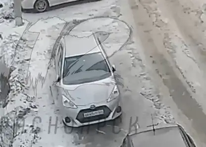 В Красноярске во дворе дома на Свердловской собака напала на ребенка