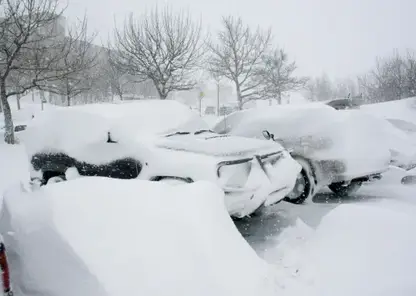 Режим свободного посещения ввели в школах Камчатки на ближайшие два для из-за сильнейшего снегопада