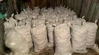 Почти полторы тонны рыбы изъяли у браконьеров на Таймыре в ходе рейдов по незаконной ловле