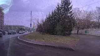 В четверг, 7 мая, в Красноярске пройдут дожди, но будет тепло