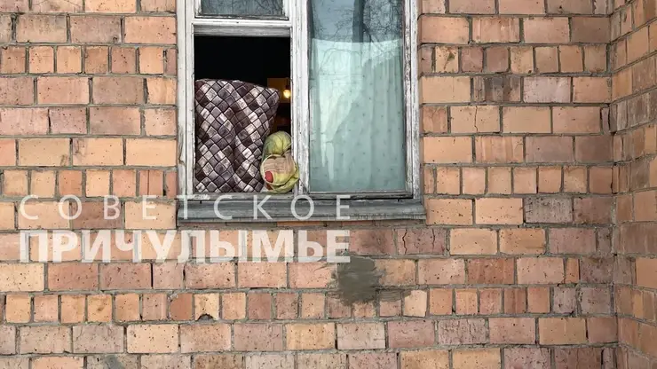 В Красноярском крае косуля выбила окно и забралась в квартиру пенсионера