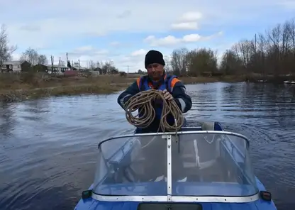В Красноярском крае спасатели эвакуировали собаку, которая три дня просидела на острове из-за разлива реки