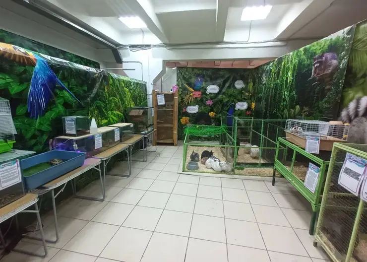 Суд в Красноярске запретил работу зоовыставки «Экзоферма» по всей России