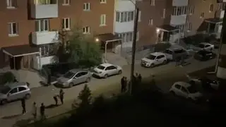 В Улан-Удэ живодёрки выбросили собаку с третьего этажа, а после устроили ночной дебош во дворе дома