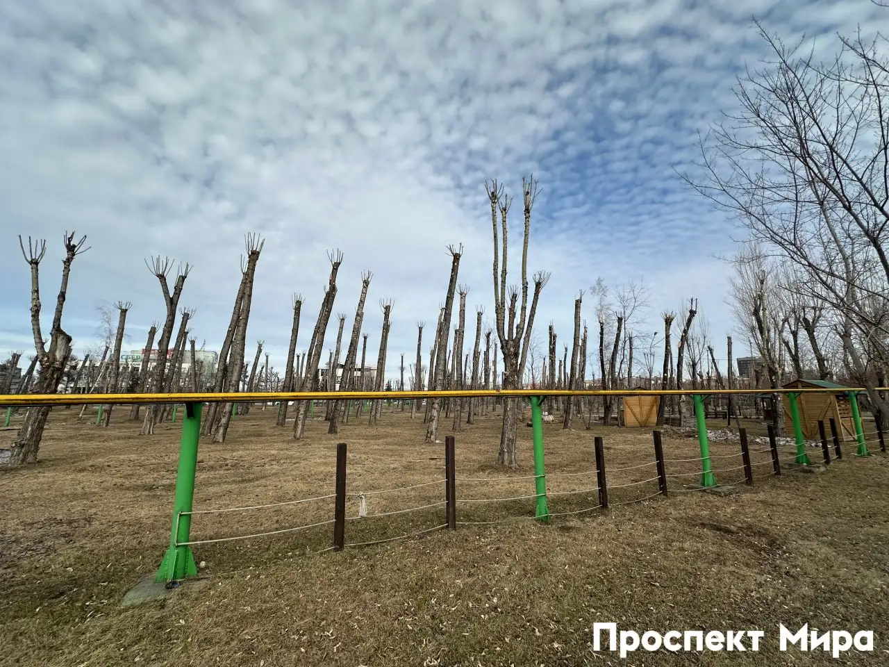 Фото: Проспект Мира