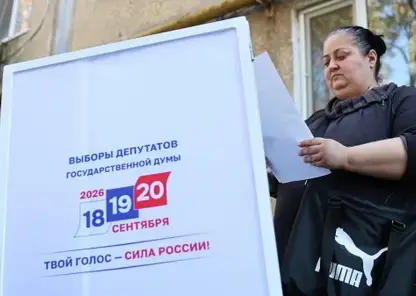 Единство, как главный запрос на выборах