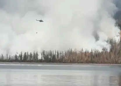 На севере края разгорелся лесной пожар около озера Лама