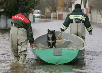 Рост страховых выплат из-за паводков прогнозируют России: он может составить 25-30%