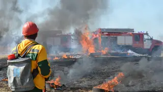 Лесной пожар в Красноярском крае потушили с помощью двух самолётов