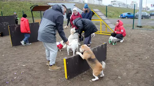 В Советском районе Красноярска открылась специальная площадка для выгула собак