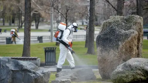 Жители Забайкалья с начала года 3217 раз обратились к медикам с жалобами на укусы клещей