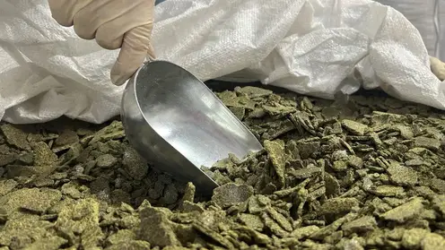 Из Красноярского края в Китай с начала марта отправили еще две тысячи тонн рапсового жмыха