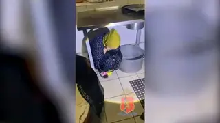 Семь мигрантов выдворят из страны после рейда в Красноярске