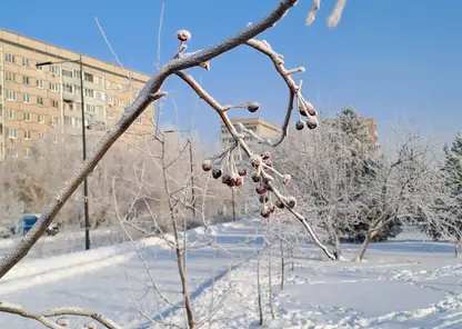 Мороз не отступает: до -38 ожидается в Красноярске 20 января