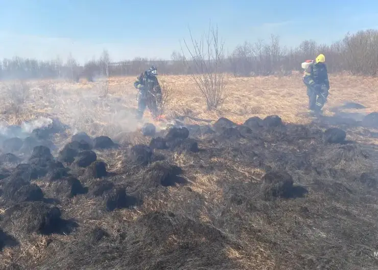 12 палов травы зарегистрировано в Красноярском крае за сутки