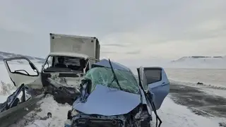 Водитель не справился с управлением на трассе в Красноярском крае: двое погибли