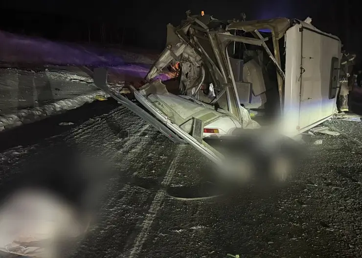 Губернатор поручил оказать всестороннюю помощь семьям погибших в смертельном ДТП