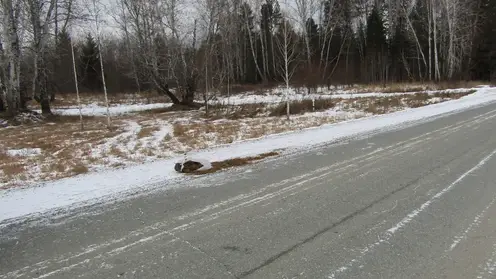 Мужчина выбросил большой пакет с наркотиком из окна машины во время погони в Красноярском крае