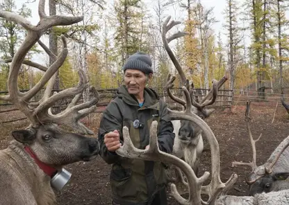 Жизнь вдали от цивилизации: как сегодня выживают оленеводы Эвенкии