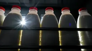 Роспотребнадзор оштрафовал красноярское предприятие за грубые нарушения при производстве молочной продукции