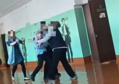 В Иркутской области ученик подрался с сотрудницей школы