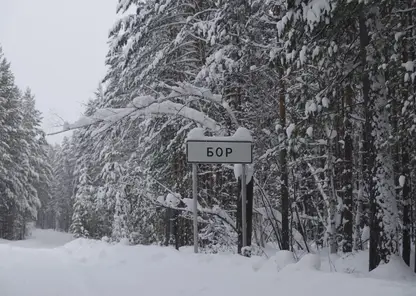Высокоскоростной интернет протянули в северные села Красноярского края
