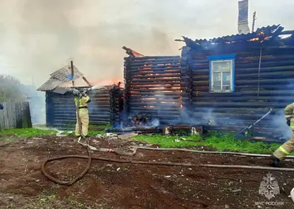 14 пожаров произошло за сутки в Красноярском крае