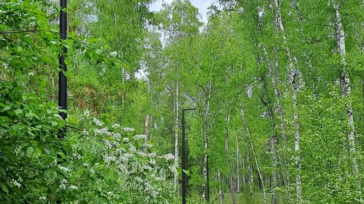 Красноярцев приглашают на бесплатные экскурсии в День молодежи