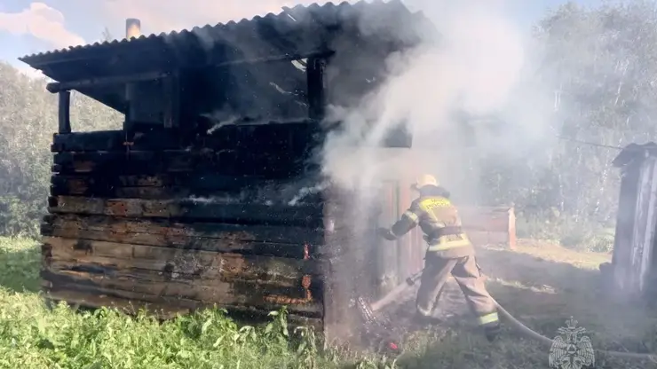 В Красноярском крае за сутки произошло 11 пожаров, один человек пострадал