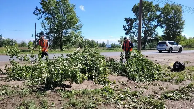 Около 2,5 тысяч человек остаются без света в Иркутской области после ливня с грозой