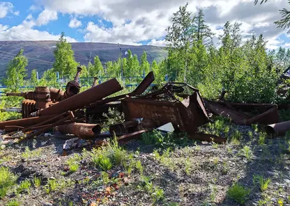 Зону источника питьевой воды очистили от мусора в Норильске