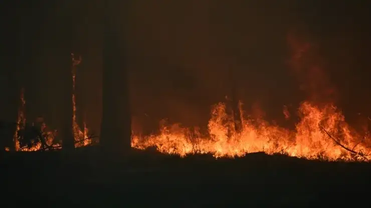 Лесной пожар начался в Байкало-Ленском заповеднике Иркутской области