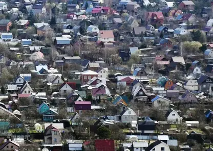 Признаки «неосвоенной» земли утвердили в РФ: за что могут отобрать участки у владельцев