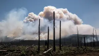 Власти Бурятии будут выплачивать по 10 тысяч рублей за сообщения о поджигателях леса