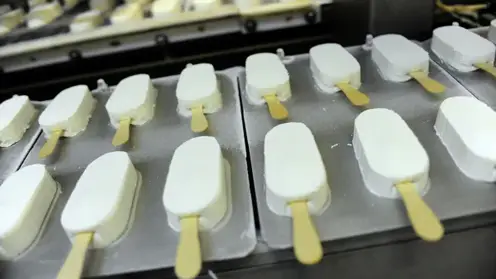 Омская область нацелена на производство палочек для мороженого и клея ПВА