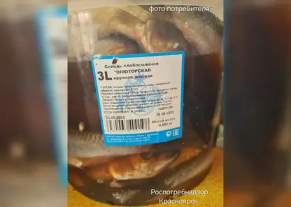 Зараженную паразитами селедку обнаружили в Красноярске