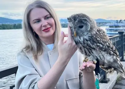 Красноярка заплатила 4,5 тысячи за фото с совами, и поняла, что ее обманули