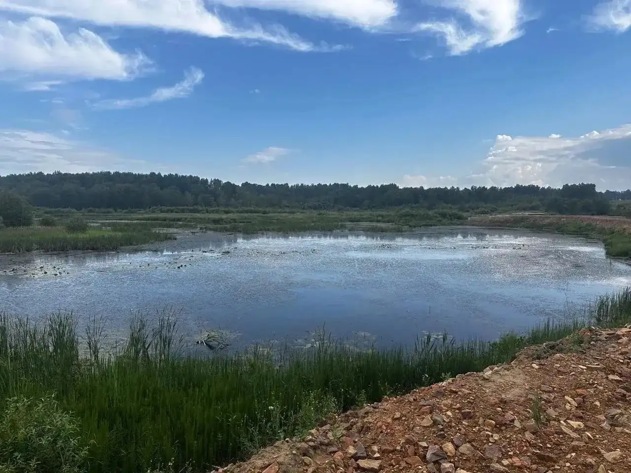 Фото: пресс-служба прокуратуры Красноярского края