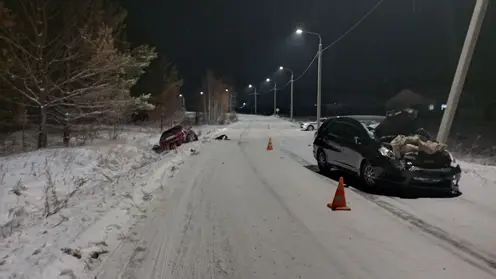 В Иркутской области водитель сбил троих пешеходов и скрылся с места