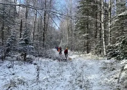 Спасатели показали какие места они обследовали во время поисков пропавшей семьи Усольцевых в горах  Красноярского края